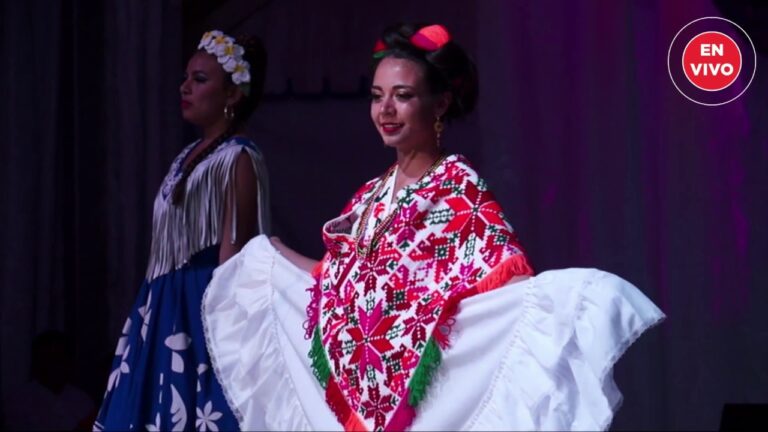Bordados Regionales en Vestidos Tradicionales: Un Patrimonio Cultural