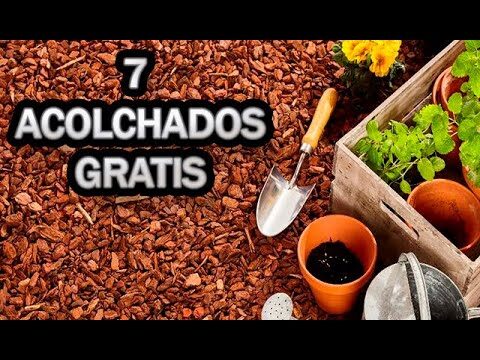 Colchas Sostenibles: Telas de Bamb&uacute; Eco-Amigables