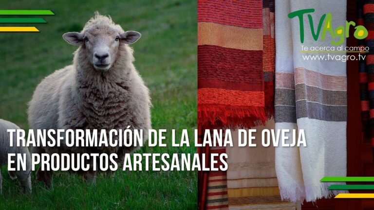 Chalecos Artesanales de Lana de Calidad: Estilo y Confort