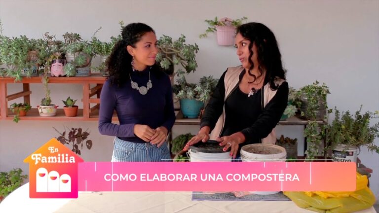 Telas Sostenibles: Una Opción Eco-Friendly para la Costura