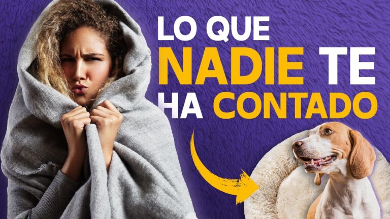 Comodidad y Calidez: Telas Ideales para Ropa de Invierno