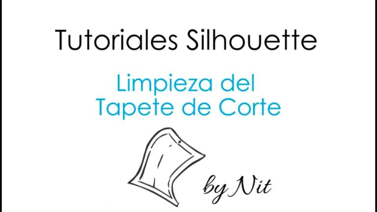 Gu&iacute;a Esencial para la Protecci&oacute;n y Cuidado de Alfombras y Tapetes