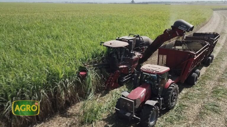 Revoluci&oacute;n en la Costura: Innovaci&oacute;n y Velocidad con M&aacute;quinas Modernas