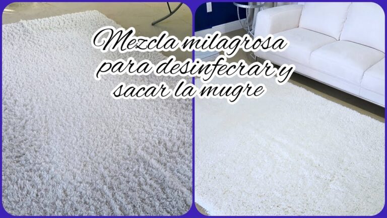 Gu&iacute;a Esencial para el Cuidado y Limpieza de Alfombras y Tapetes
