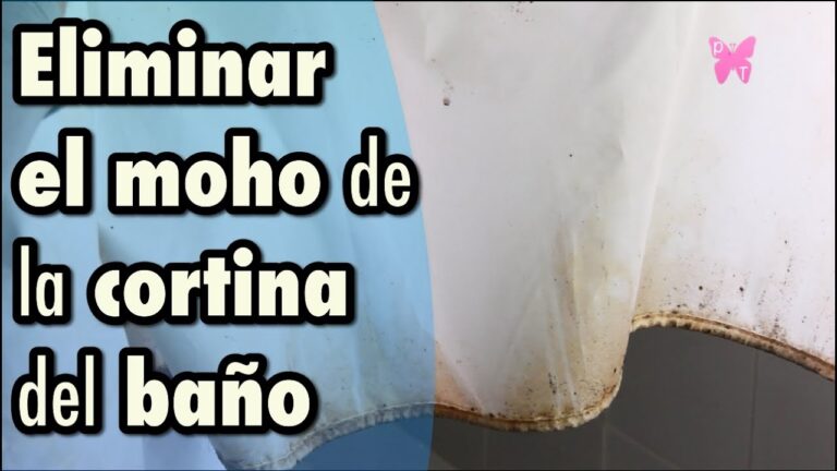Trucos Infalibles para Cortinas Enrollables Impecables