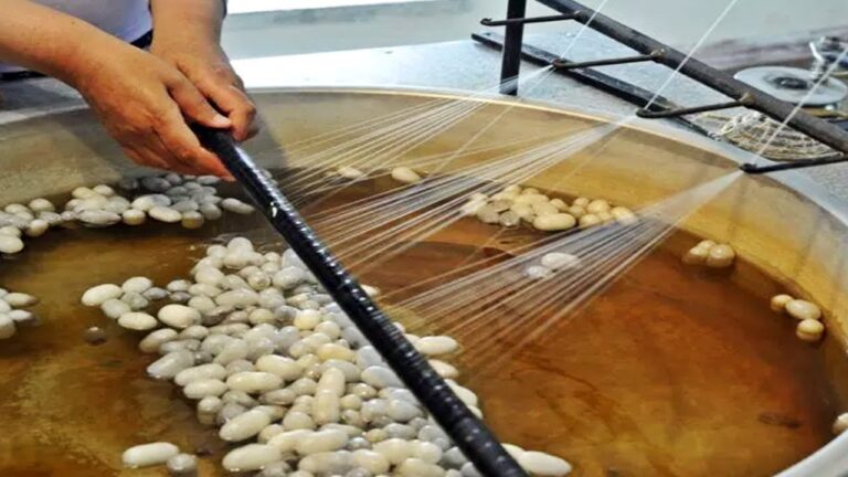 Tintes Vegetales en la Confecci&oacute;n de Prendas Tradicionales