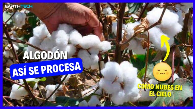Revolución en Innovación de Telas de Algodón Suaves