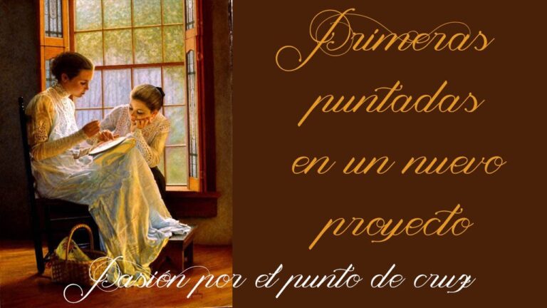 Gu&iacute;a Completa de Aida Estampada para Proyectos de Bordado