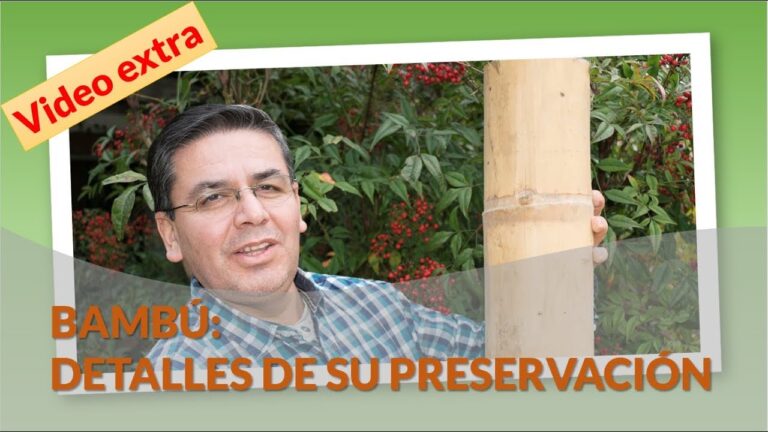 Bamb&uacute;: La Fibra Natural Ideal para el Calor