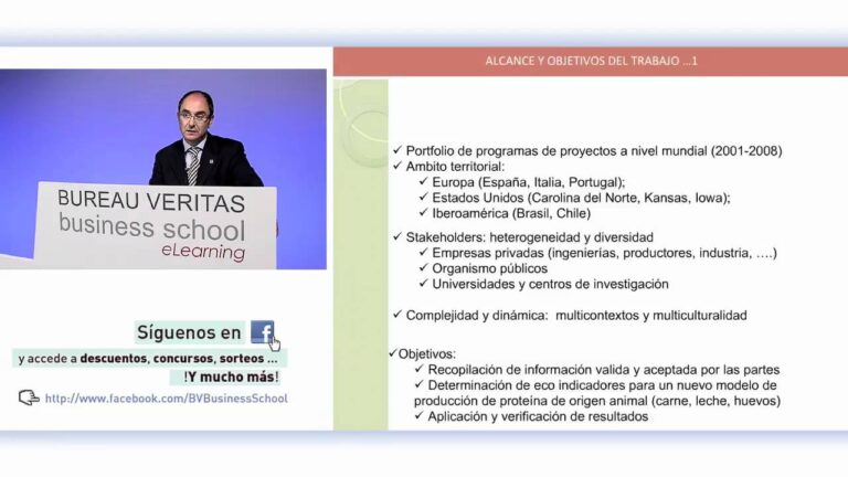 Ideas Innovadoras para Proyectos Eco-Conscientes