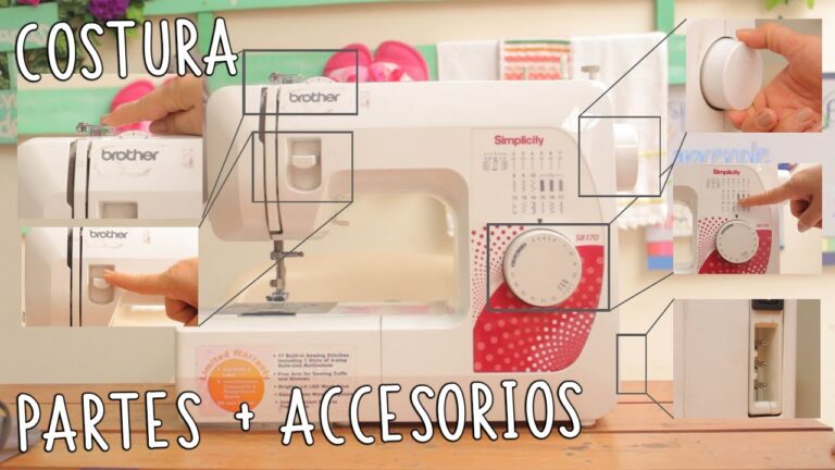 La Esencia de las Agujas en la Costura B&aacute;sica